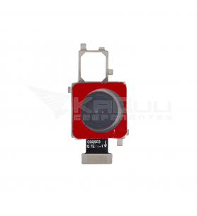 Flex Cámara Trasera para Oppo Find X3, Find X3 Pro CPH2173 50Mpx Wide