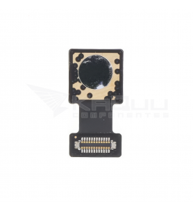 Flex Cámara Trasera para OnePlus 9RT 5G MT2110, Nord 2 5G DN2101, Nord 2T 5G CPH2399 8Mpx Ultrawide
