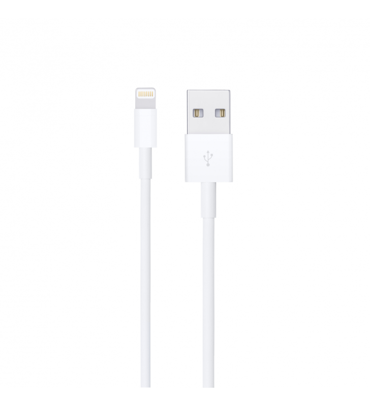 Cable de Carga MXLY2ZM/A USB a Lightning (1m)