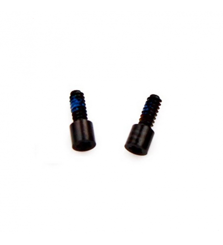 Set Tornillos Pantalla para iPhone 5C A1532 A1456