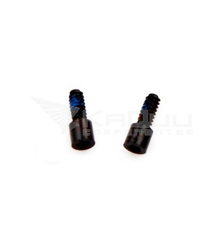 Set Tornillos Pantalla para iPhone 5C A1532 A1456