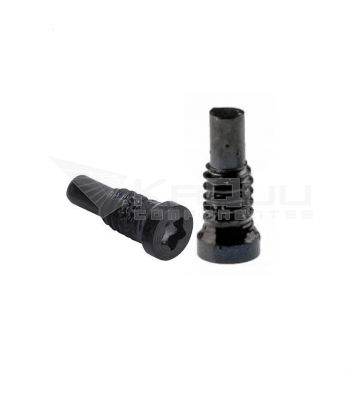 Set Dos Tornillos para La Sujeción De Pantalla Iphone 8 A1863 / 8 Plus A1864 Negro