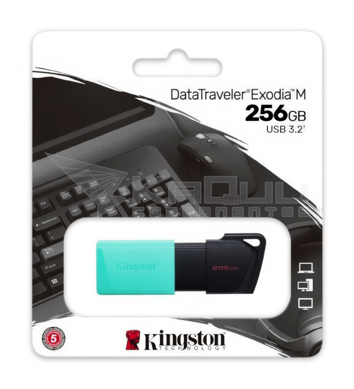 Pendrive Kingston DataTraveler Exodia M 256GB USB 3.2