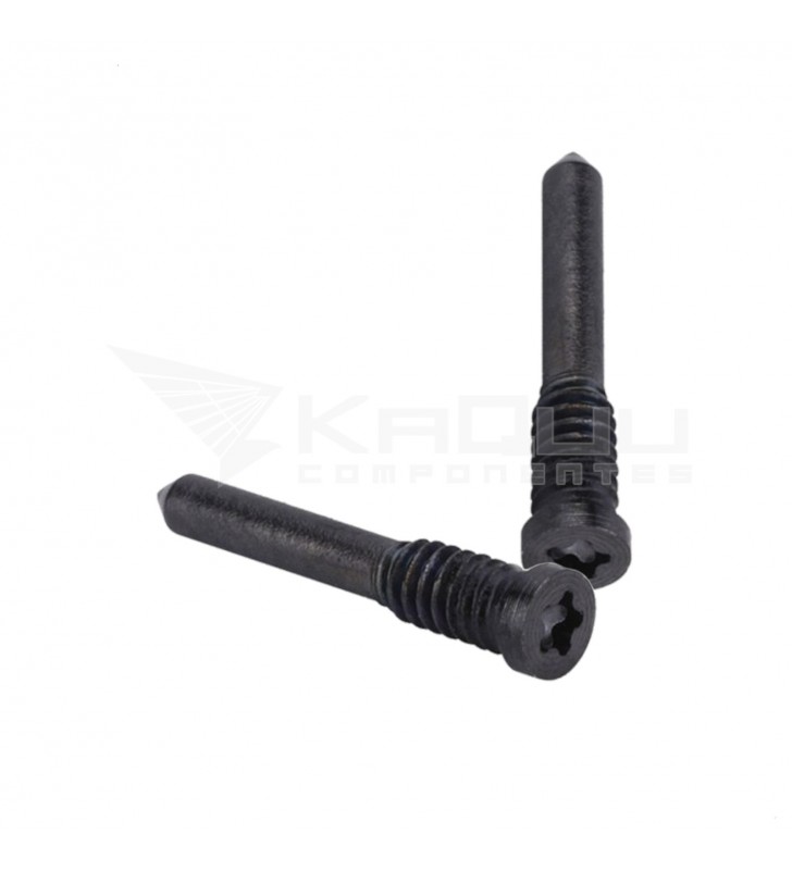 Set Dos Tornillos para La Sujeción De Pantalla Iphone 11 A2111 / Iphone 11 Pro A2160 / Iphone 11 Pro Max A2161 Negro