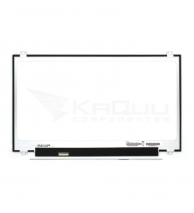 Pantalla Lcd para Portátil 17.3 Mate 1600 x 900 30 Pines Izquierdo