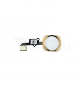 Flex Botón Home para Iphone 6 A1549 / Iphone 6 Plus A1522 Oro Dorado