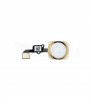 Flex Botón Home para Iphone 6 A1549 / Iphone 6 Plus A1522 Oro Dorado