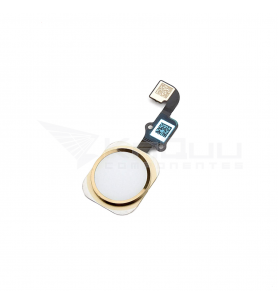 Flex Botón Home para Iphone 6S A1633 / Iphone 6S Plus A1634 Dorado