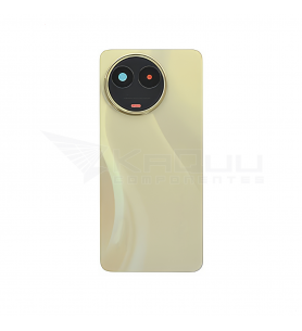 Tapa Trasera con Lente para Realme 11 5G RMX3780 Dorado