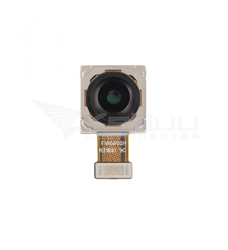 Flex Cámara Trasera para Oppo Find N2 Flip CPH2437 50Mpx Wide