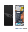 Pantalla Lcd Honor X8A CRT-LX1, Honor 90 Lite CRT-NX1 Marco Plata con Batería 0235AEUK Service Pack