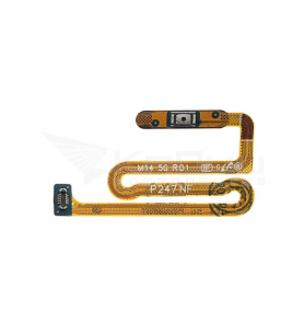 Flex Lector Huella para Samsung Galaxy M14 5G M146B Azul