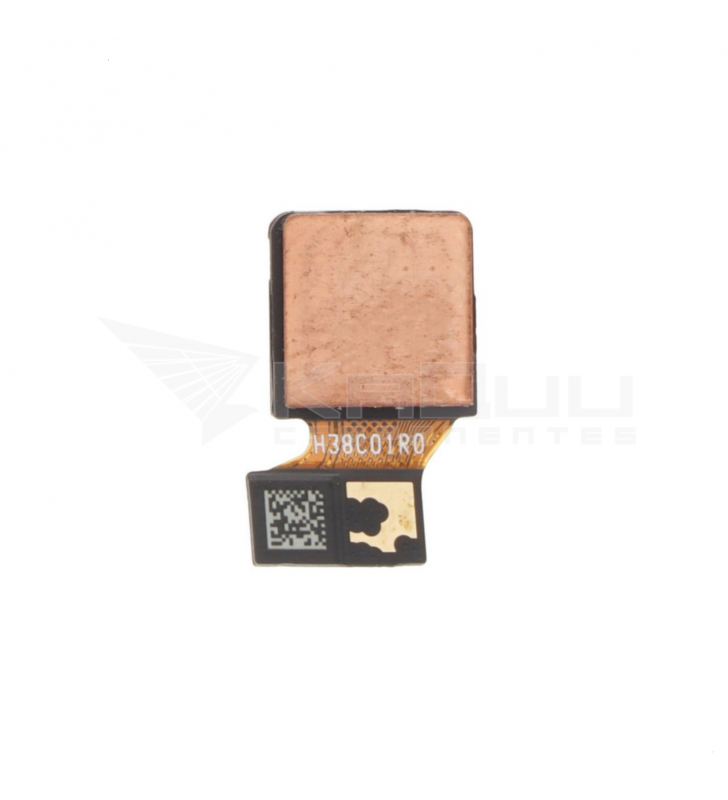 Flex Cámara Frontal para Samsung Galaxy M55 M556B 50Mpx Wide