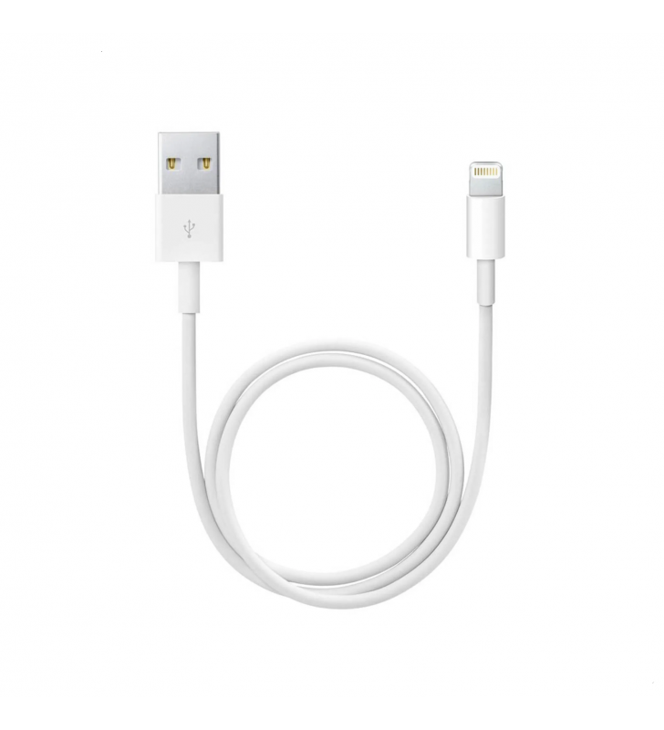 Cable de Carga ME291ZM/A USB a Lightning (0.5m)
