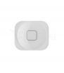 Embellecedor Botón Home para Iphone 5 / 5G Blanco