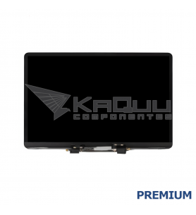 Pantalla Lcd para Macbook Pro 16 A2141 Plata Premium